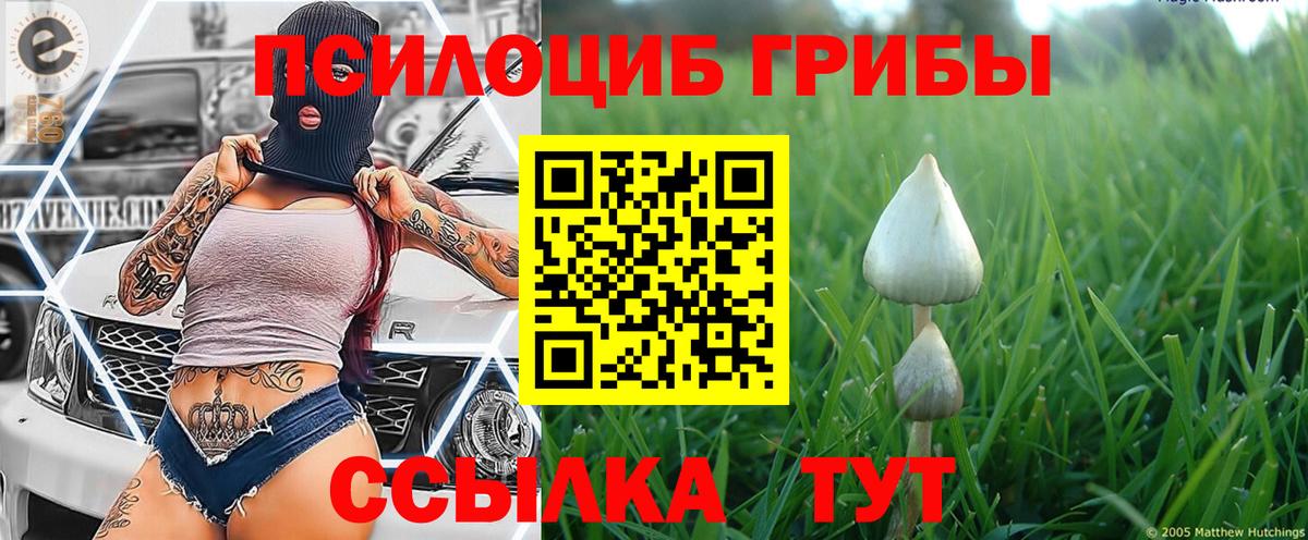 Галлюциногенные грибы мицелий  Псилоцибиновые грибы MAGIC MUSHROOMS  Вход с VPN  Ревда 